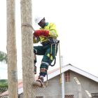 Deputy Speaker of Parliament Thomas Tayebwa says that whereas service providers have been calling upon government to subsidize electricity connections under the Free Connections Policy, government will have to look at the policy &ldquo;to see how best we can support distribution companies to connect people across the country&rdquo;.